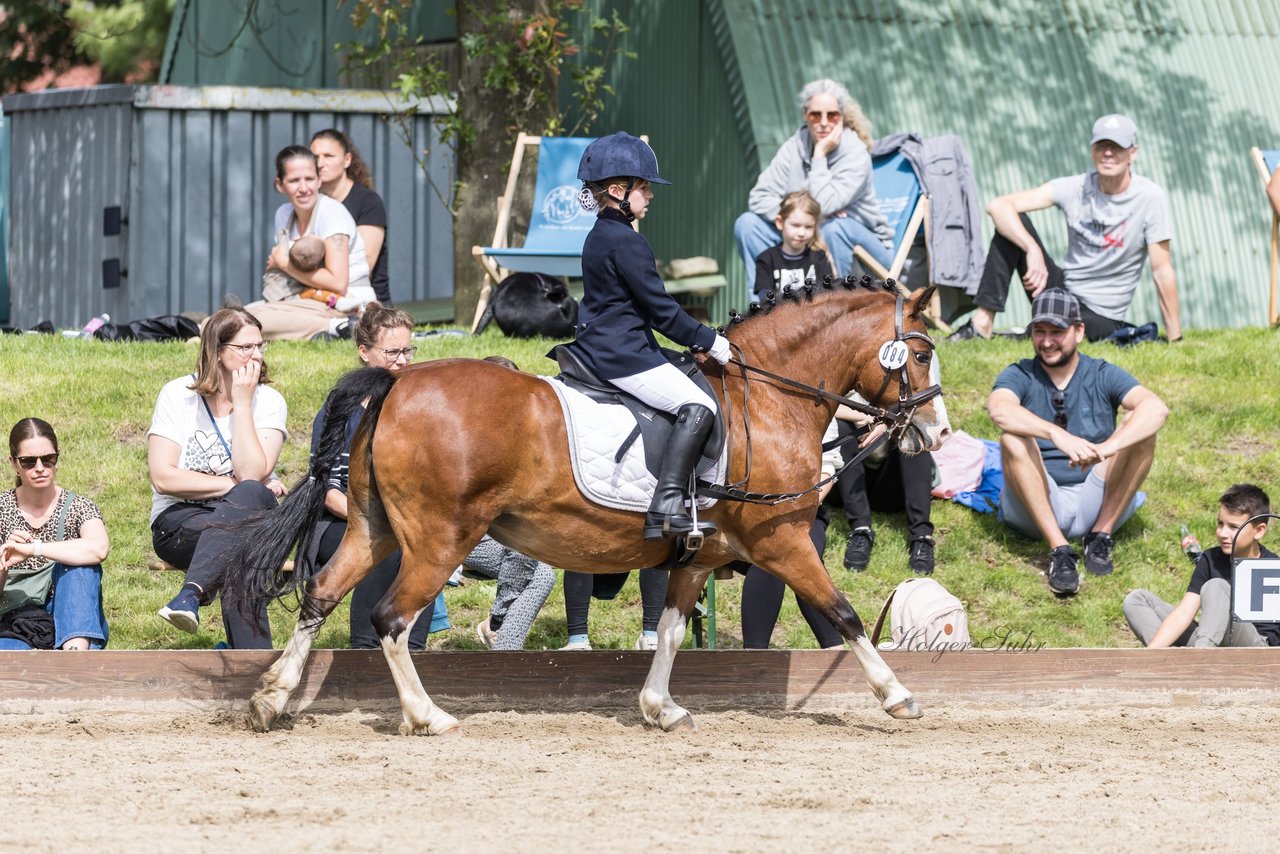 Bild 152 - Pony Akademie Turnier